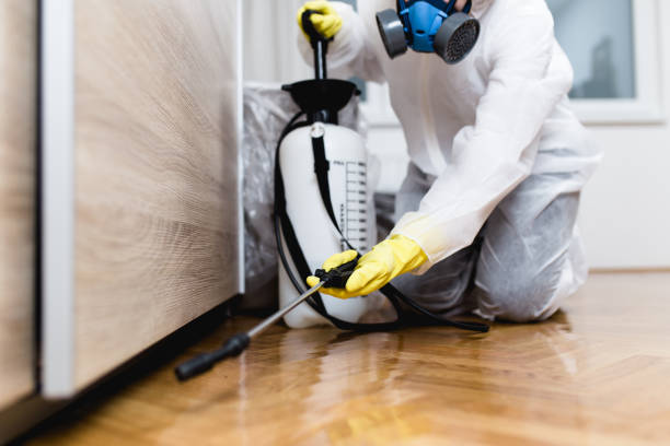 Trusted Quincy, IL Pest Control Experts