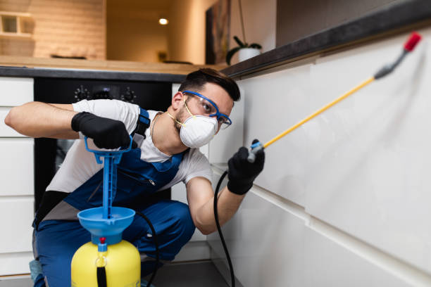 Best Flea Control Services  in Quincy, IL
