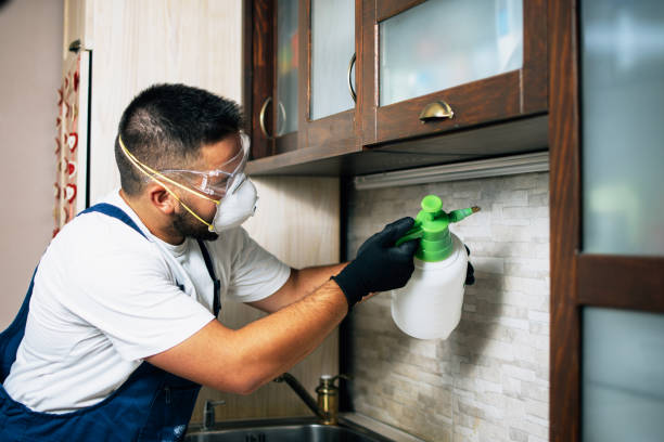 Best Pest Prevention Services  in Quincy, IL