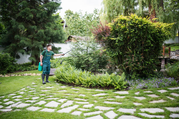 Best Best Pest Control Companies  in Quincy, IL