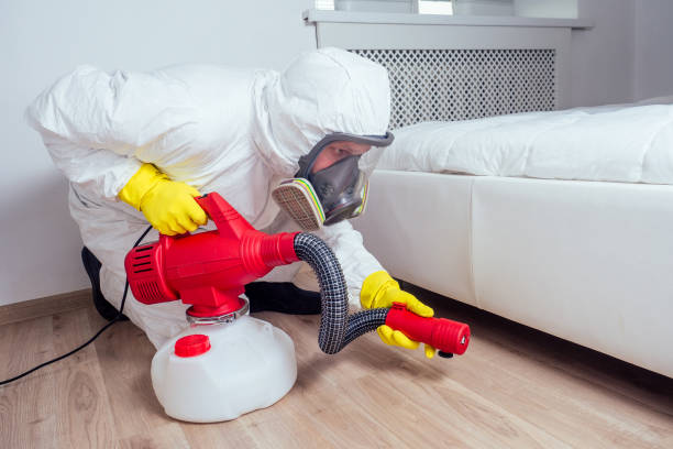 Best Residential Pest Control  in Quincy, IL