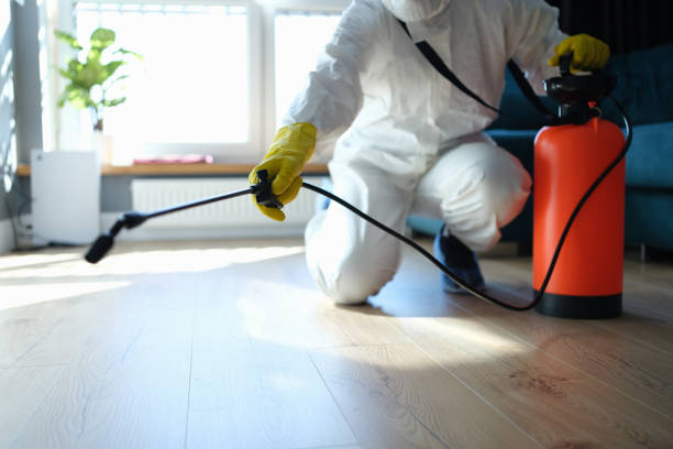 Flea Control Services in Quincy, IL