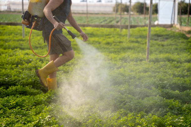 Best Pest Prevention Services  in Quincy, IL