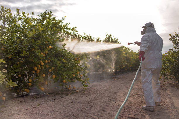Best Best Pest Control Companies  in Quincy, IL