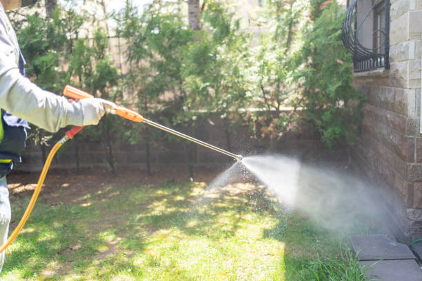 Best Ant Control Services  in Quincy, IL