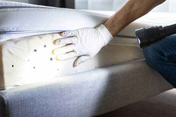 Best Exterminator Services  in Quincy, IL
