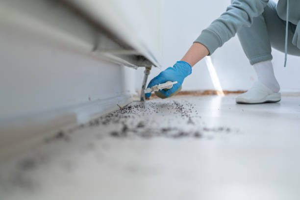 Best Emergency Pest Control  in Quincy, IL