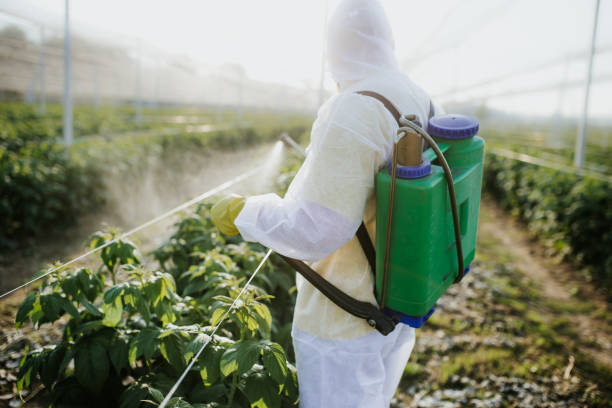 Best Pest Removal Services  in Quincy, IL
